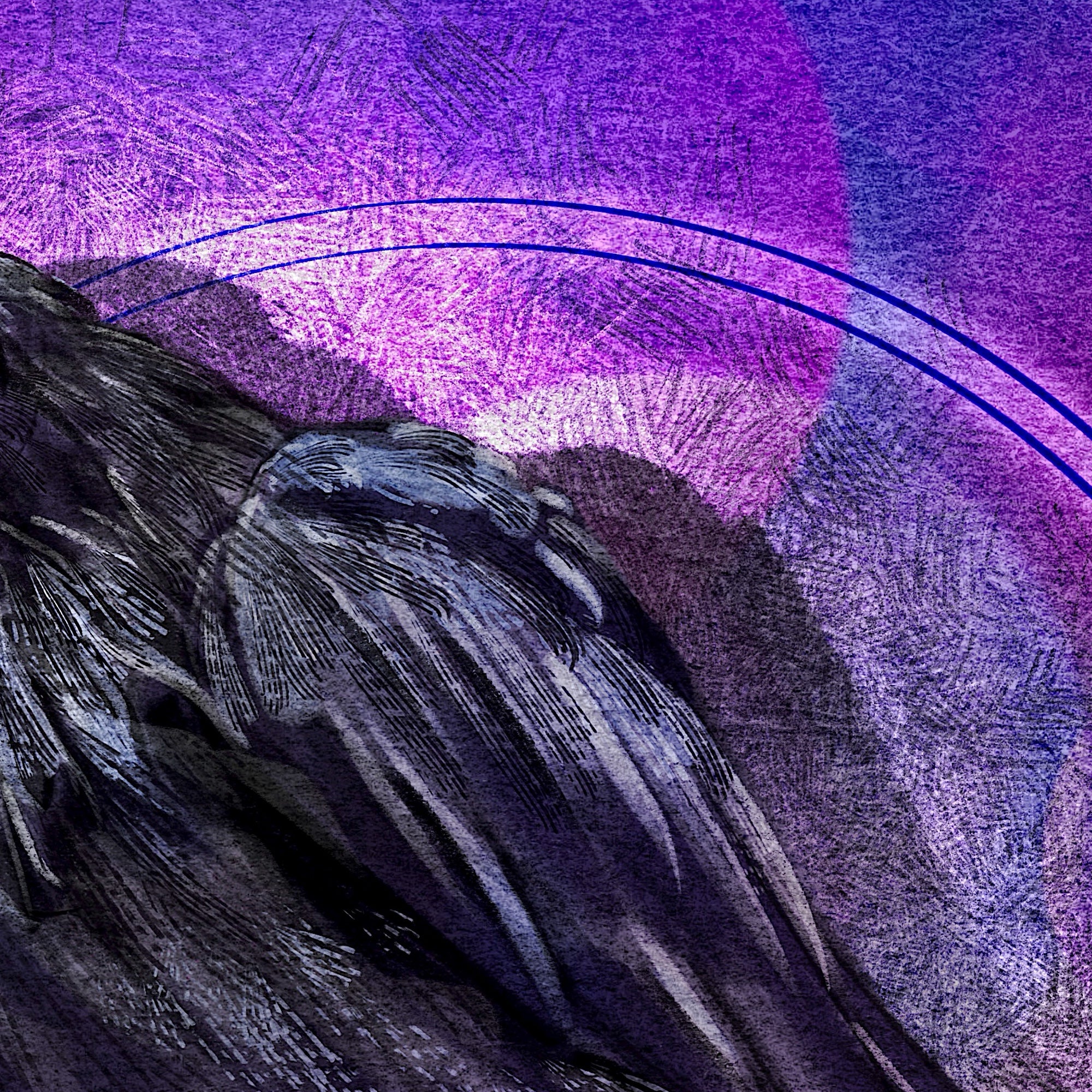 Abstract art with purple and black elements