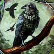 Illustration of a crow on a branch with a textured background