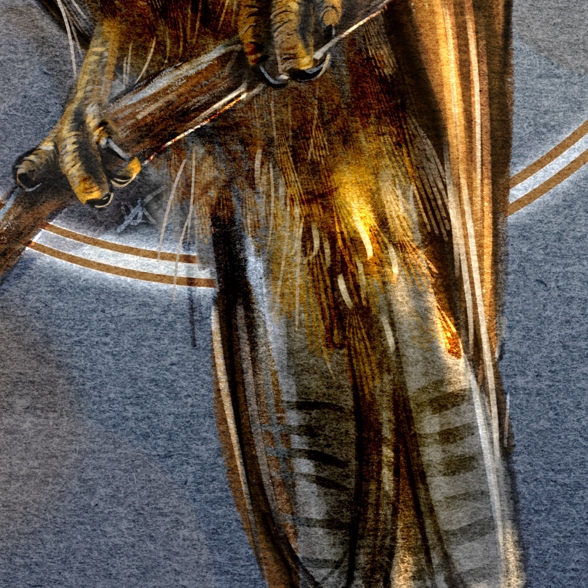 Close-up of a hawk tail on a branch with a textured gray background