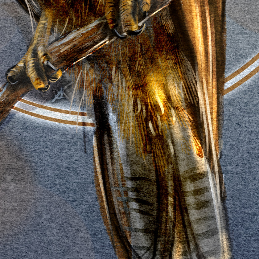 Close-up of a hawk tail on a branch with a textured gray background
