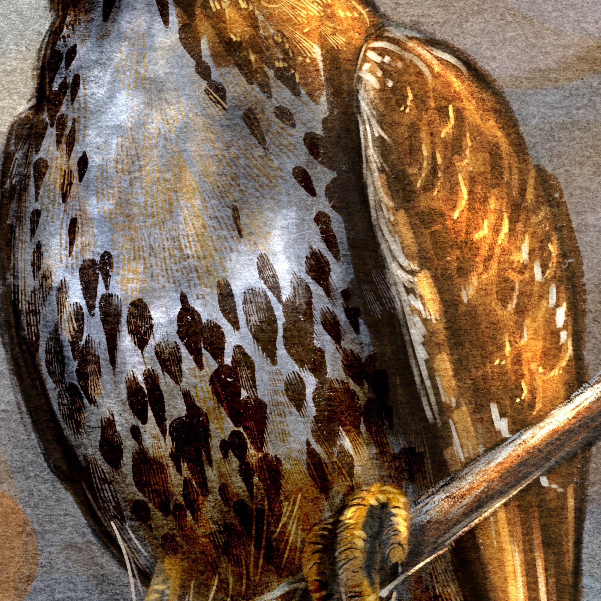 Close-up of a bird's feathers with detailed texture and color.