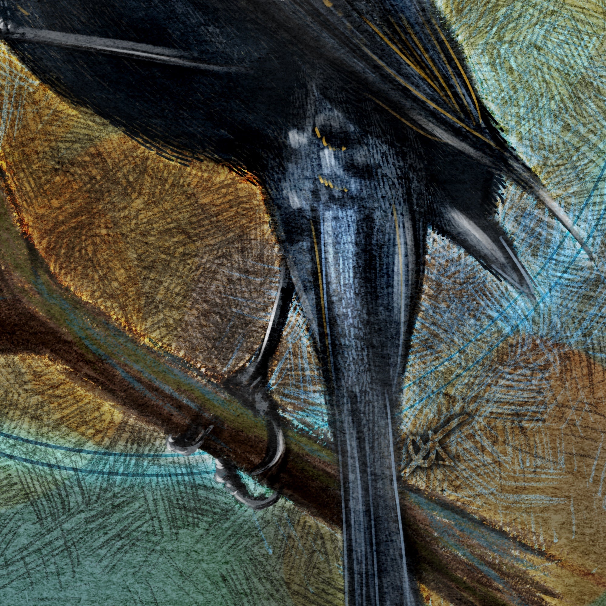 Red-Winged Blackbird 11x17