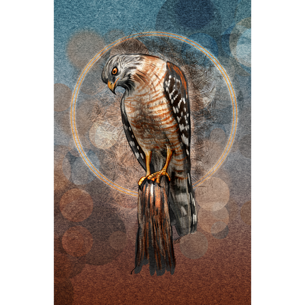 Artistic depiction of a hawk on a textured background