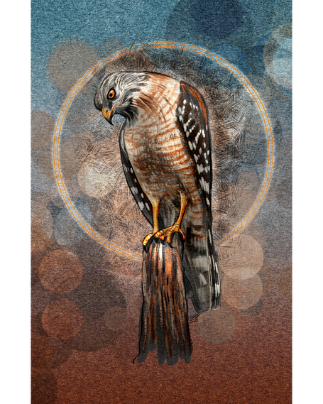 Artistic depiction of a hawk on a textured background