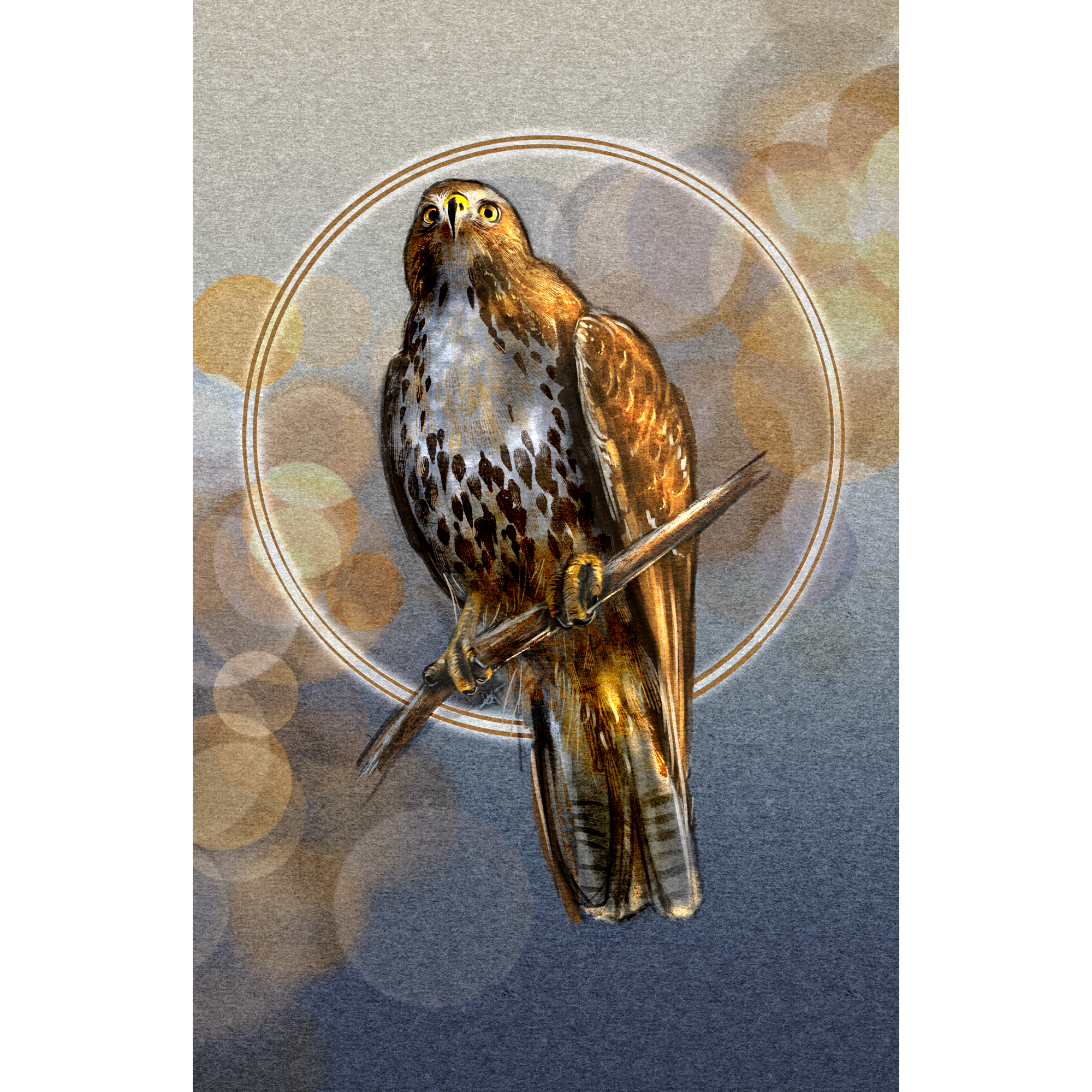 Illustration of a hawk perched on a branch with a circular frame and gradient background