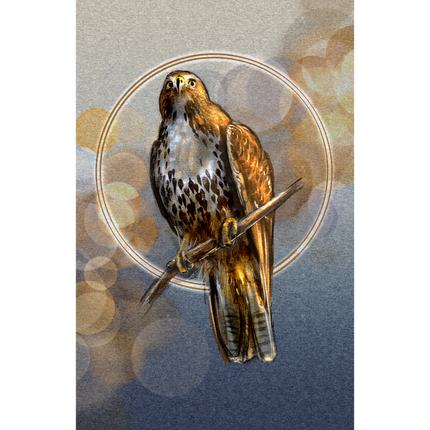 Illustration of a hawk perched on a branch with a circular frame and gradient background