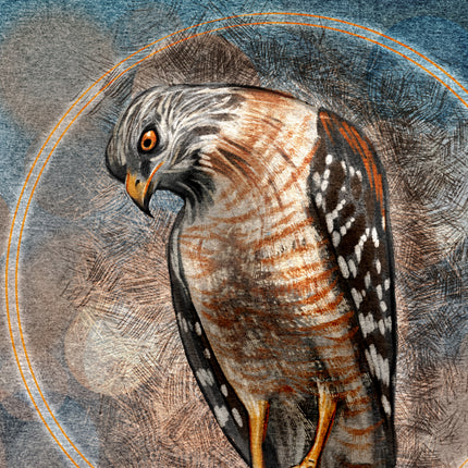 Detailed illustration of a hawk with a textured background