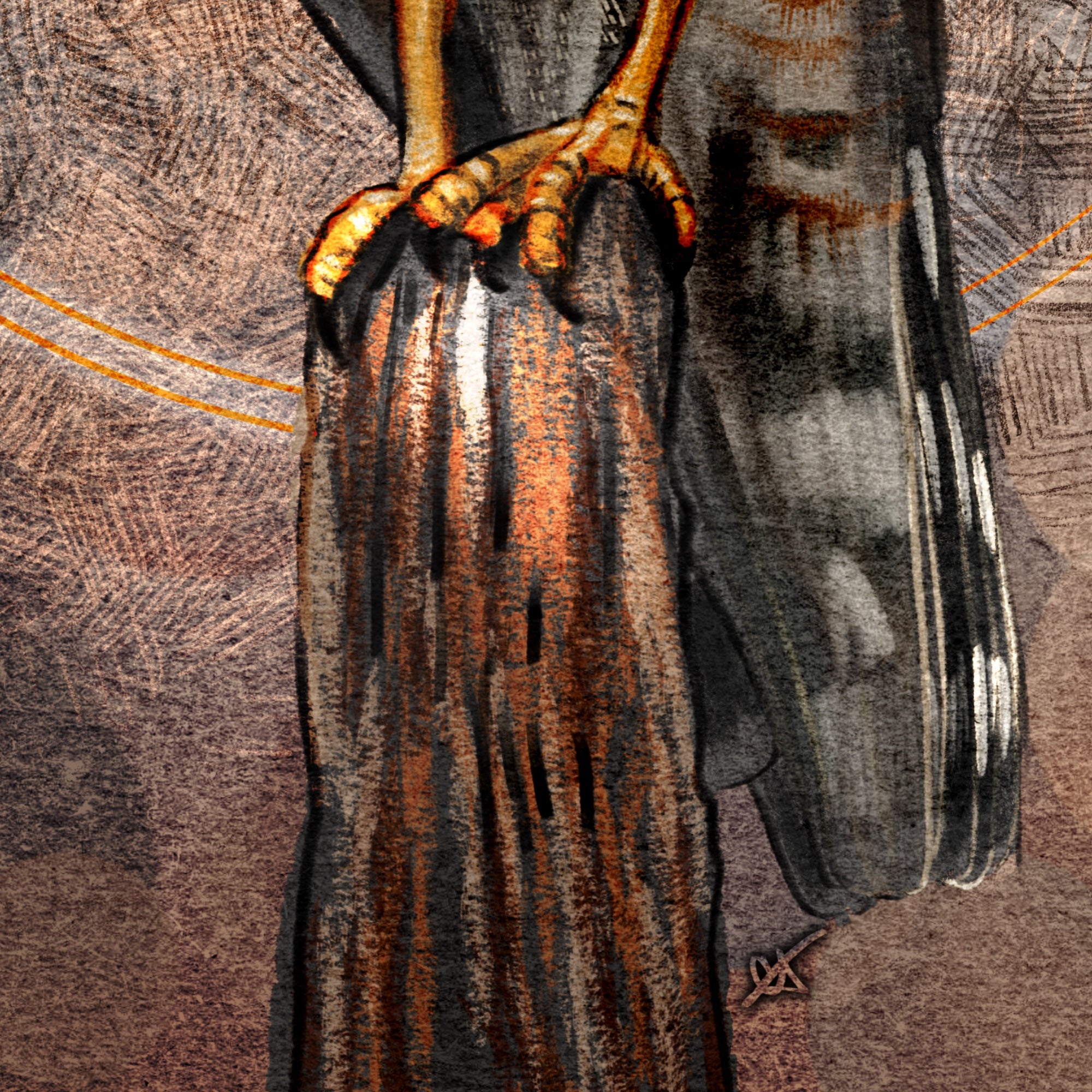 Red-Shouldered Hawk 11x17