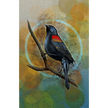 Red-Winged Blackbird 11x17