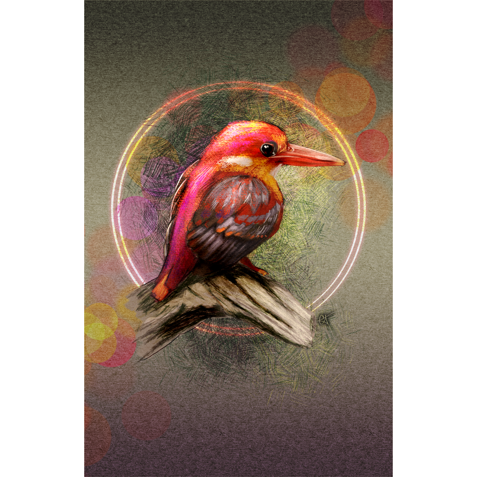 Rufous-Backed Kingfisher 11x17