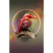 Rufous-Backed Kingfisher 11x17