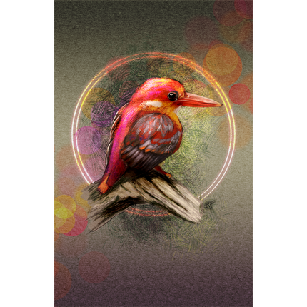 Colorful bird illustration with a circular light effect on a dark background