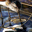 Close-up of a bird perched on a branch with a blurred background