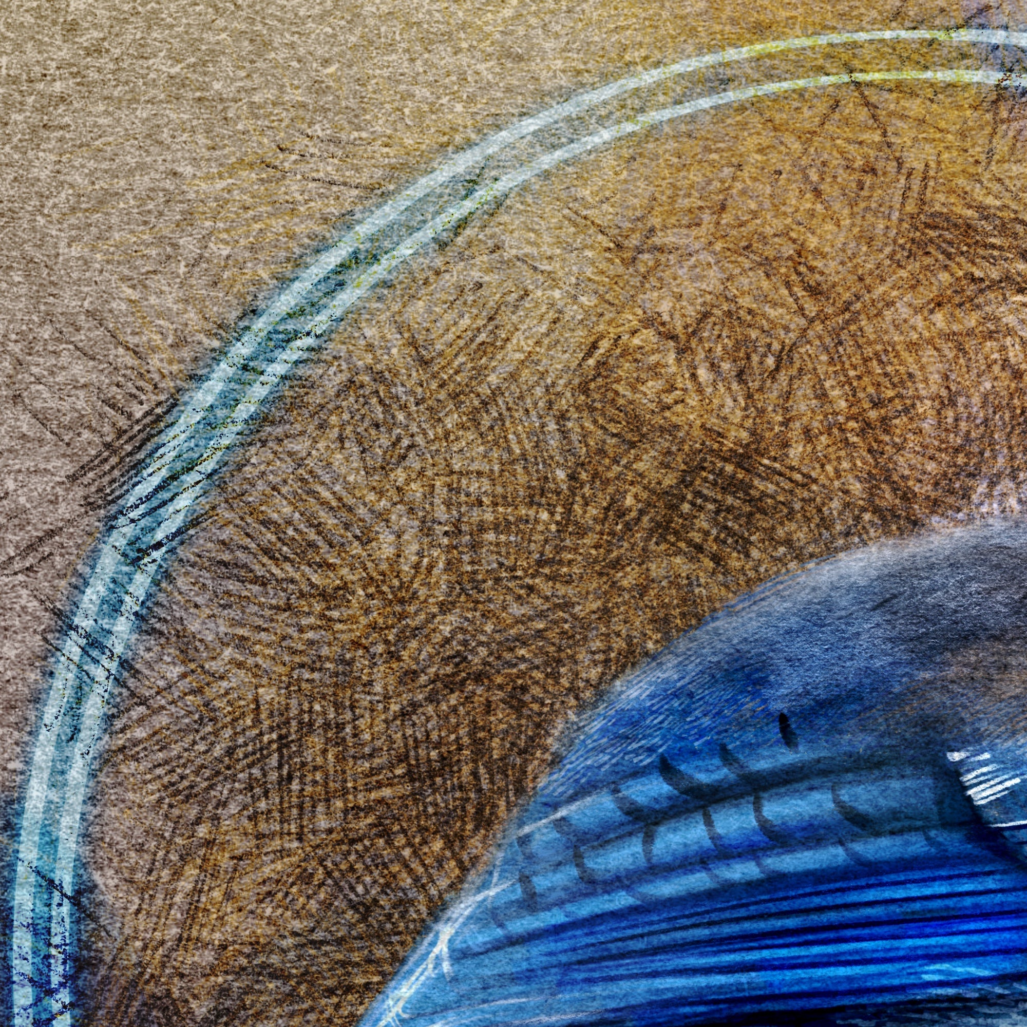 Close-up of a blue feather on a textured brown surface