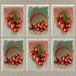 Set of six illustrations of tomatoes on a textured beige background