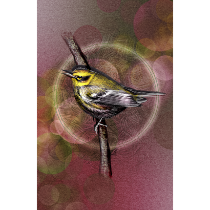 Bird perched on a branch with a colorful, abstract background