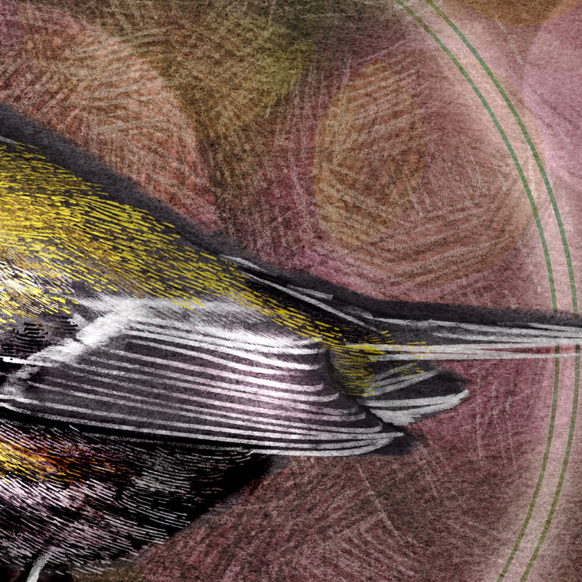 Close-up of a feather with a textured background