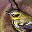 Artistic illustration of a bird with yellow and black plumage on a textured brown background
