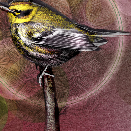 Illustration of a bird perched on a branch with a textured brown background