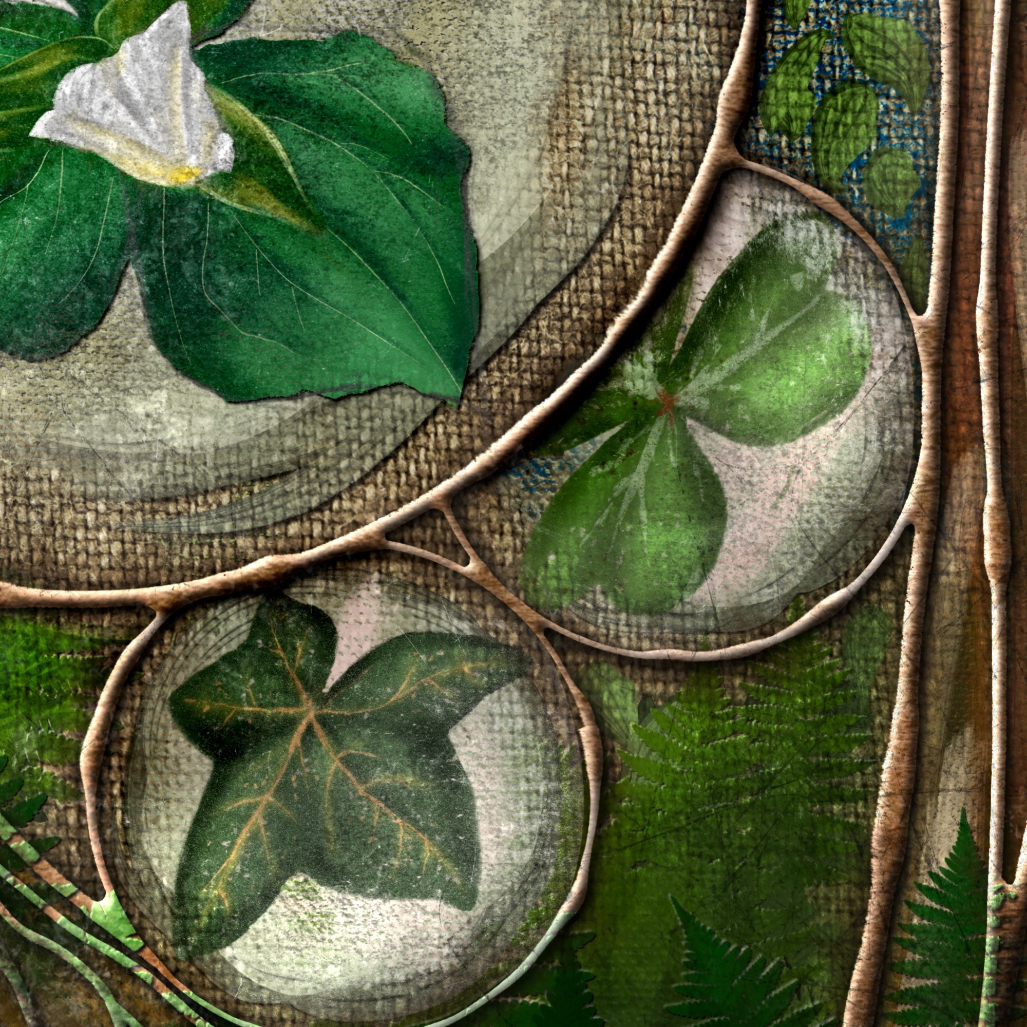 Close-up of leaves and branches with a textured background