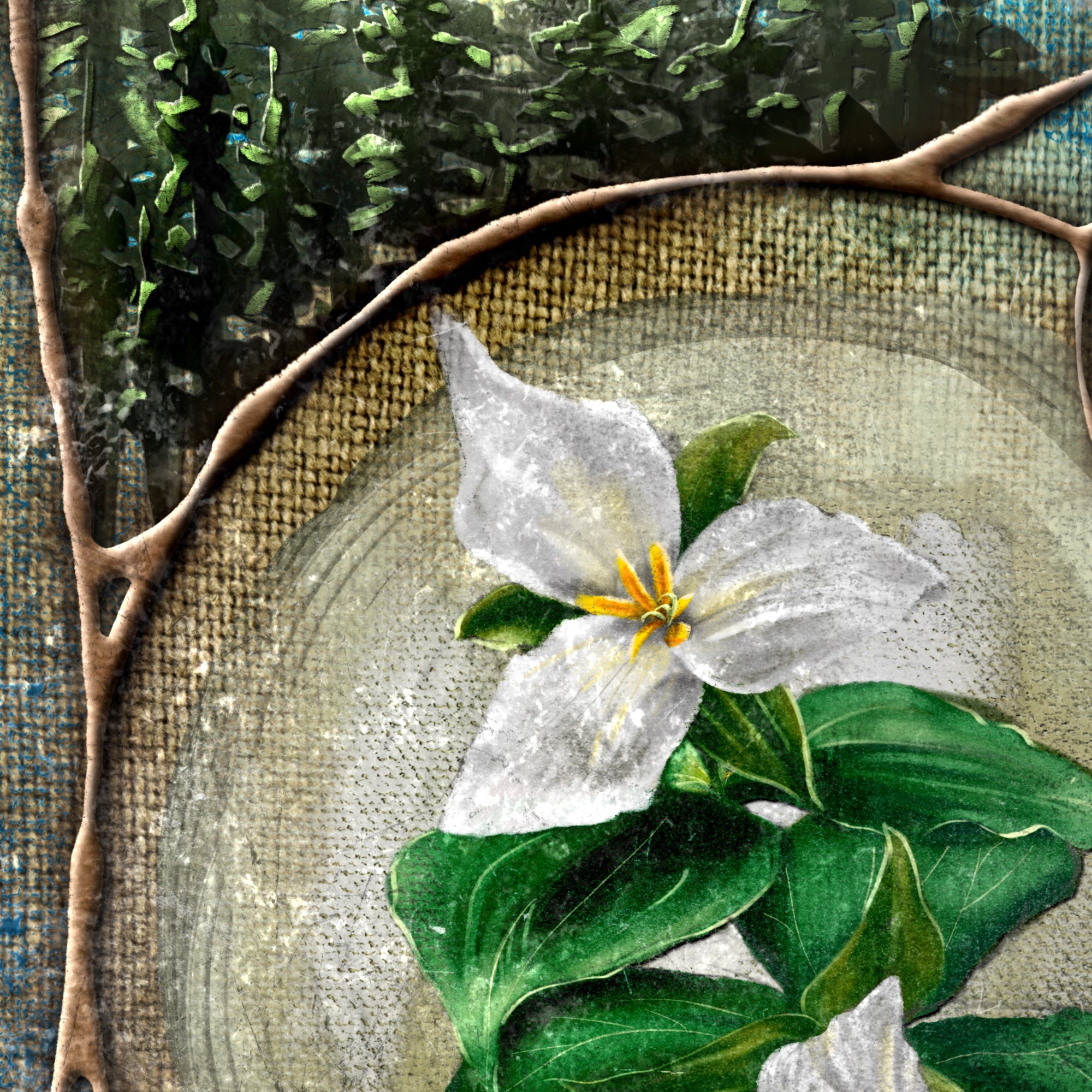 Close-up of a white flower with green leaves on a textured background