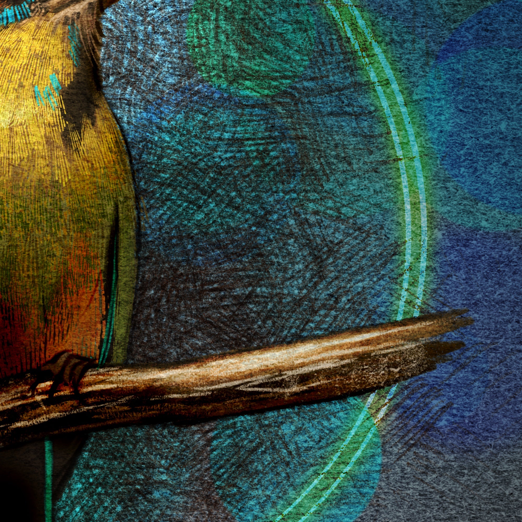 Close-up of a bird's feathers with vibrant colors on a textured background