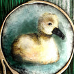 Vintage-style illustration of a duck in a circular frame with a textured border.