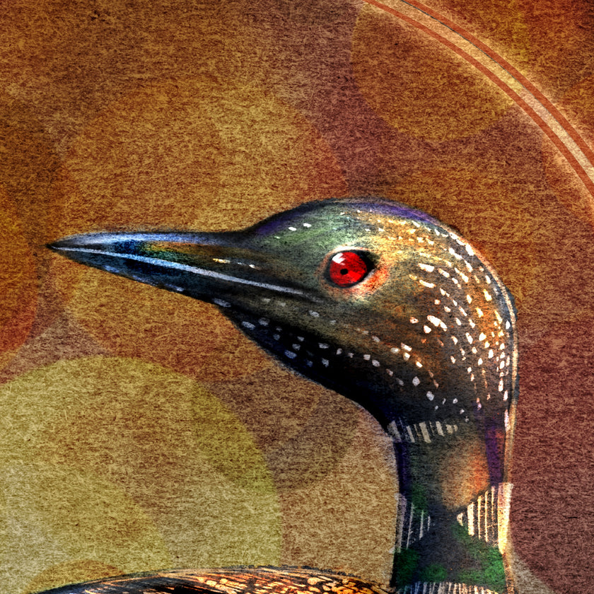 Loon 11x17
