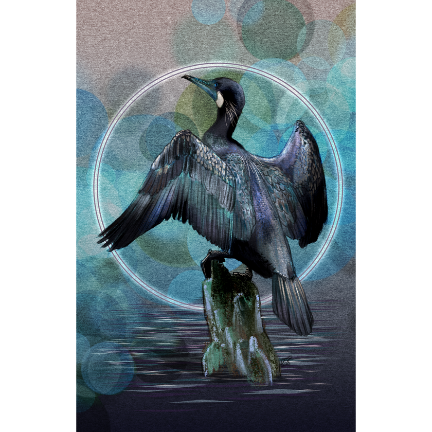 A stylized artwork of a dark bird with spread wings perched on a rock, set against an abstract blue and teal bokeh background with a circular ring behind it.