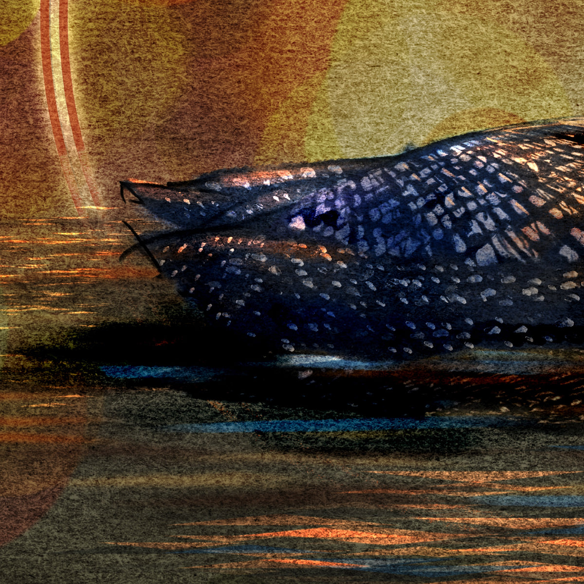 Loon 11x17