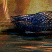 Loon 11x17
