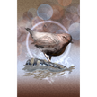 A stylized illustration of a small brown bird standing on a rock with water reflections, set against a soft beige and brown bokeh background with a faint circular halo behind it.