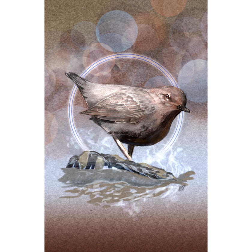 A stylized illustration of a small brown bird standing on a rock with water reflections, set against a soft beige and brown bokeh background with a faint circular halo behind it.
