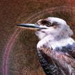 Close-up of a bird with a detailed brown background