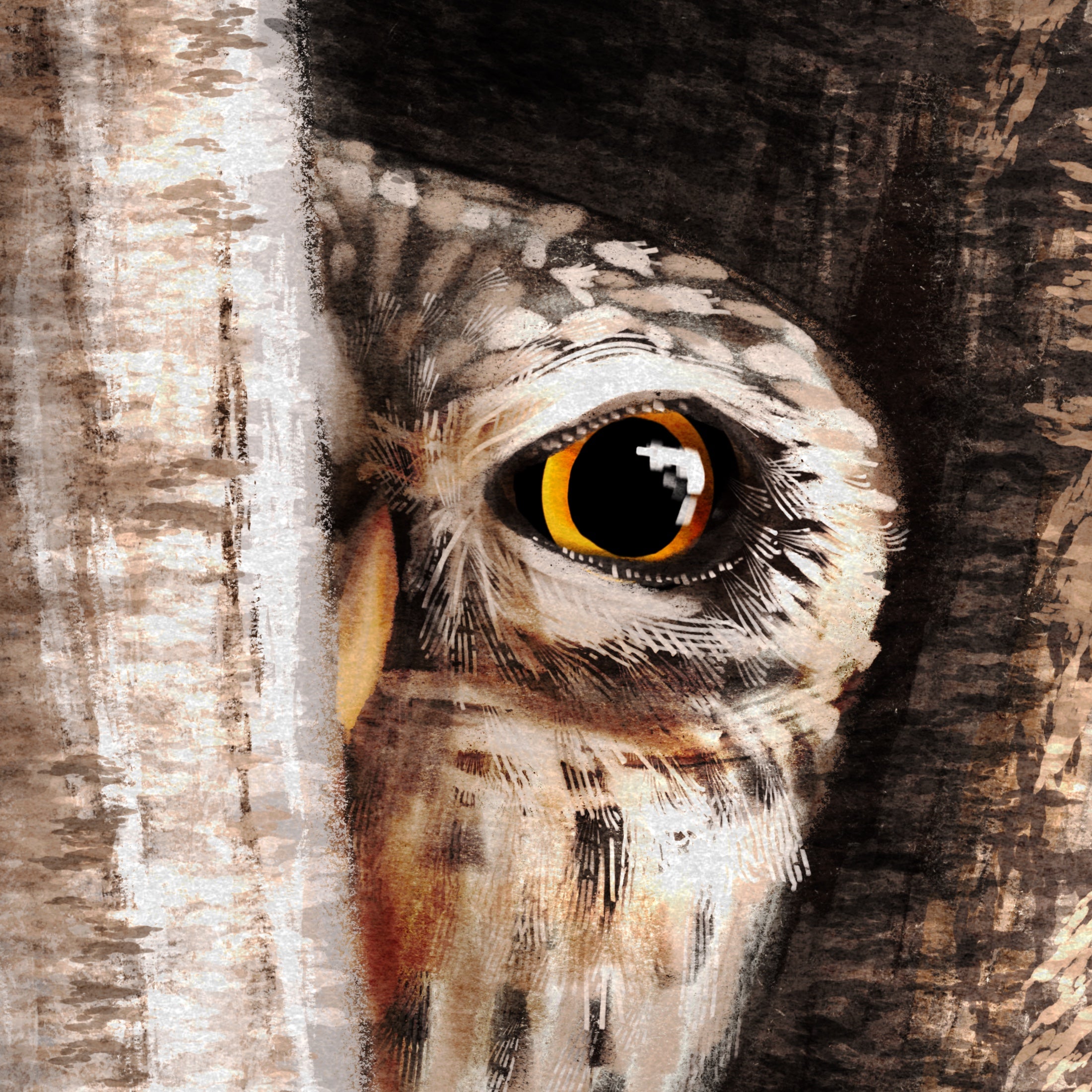 Close-up of an owl's eye peering out from behind tree bark