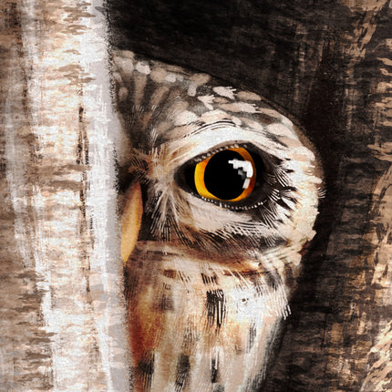 Close-up of an owl's eye peering out from behind tree bark