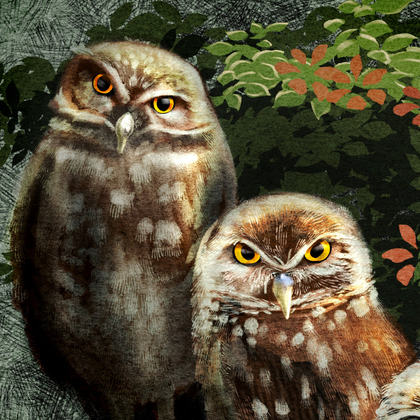 Two owls with yellow eyes and brown feathers sitting among green foliage.
