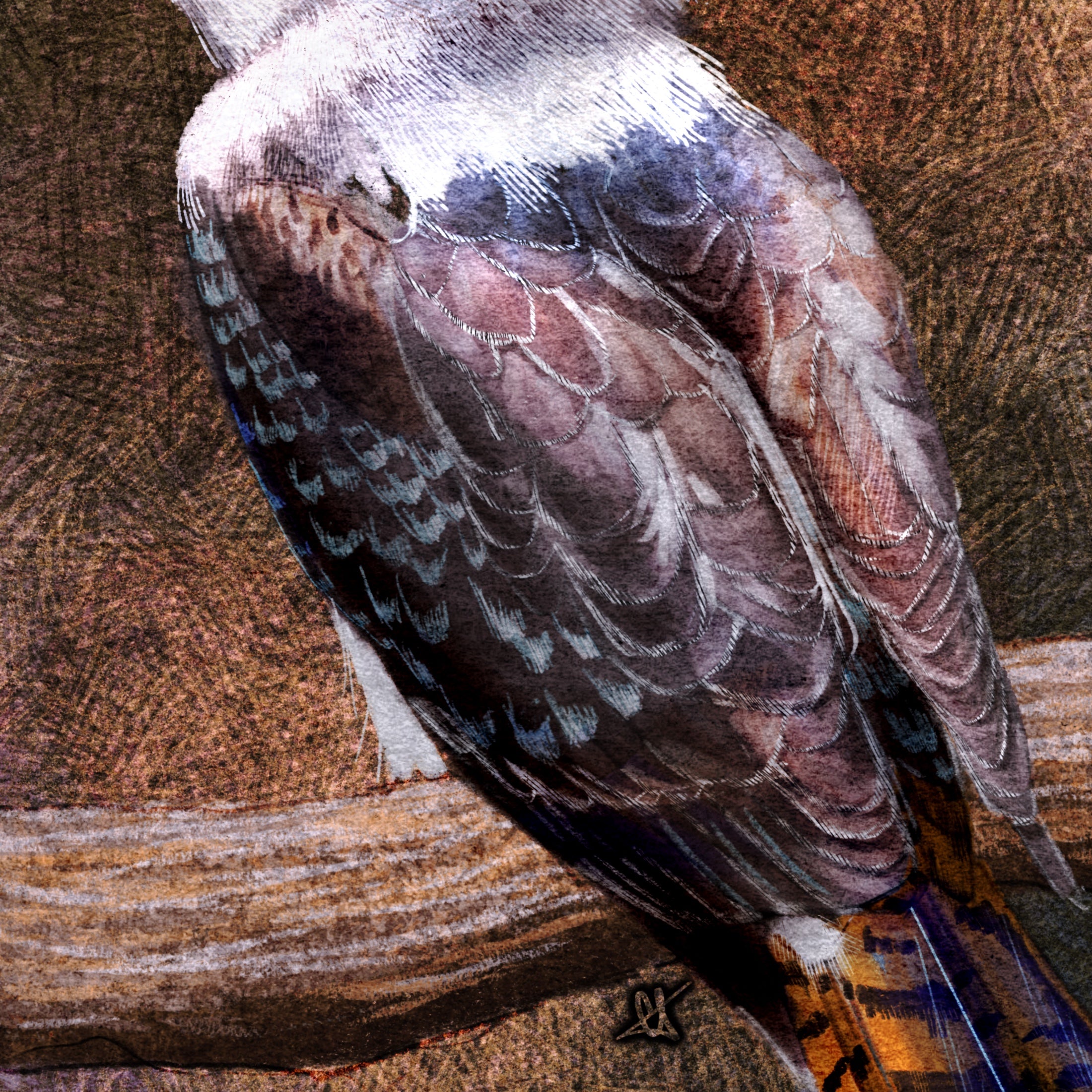 Close-up of a bird's feathers on a textured surface