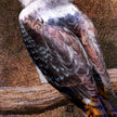 Close-up of a bird's feathers on a textured surface
