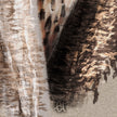 Close-up of a textured surface with a feather