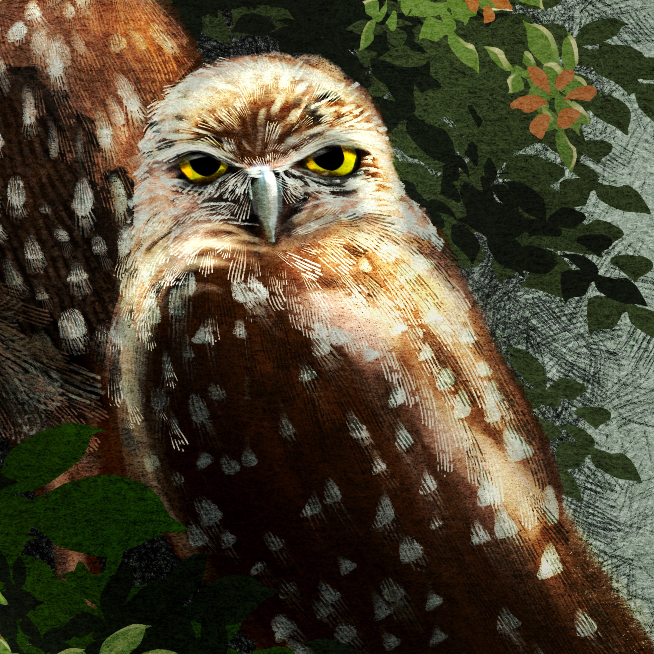 Close-up of an owl with a natural background