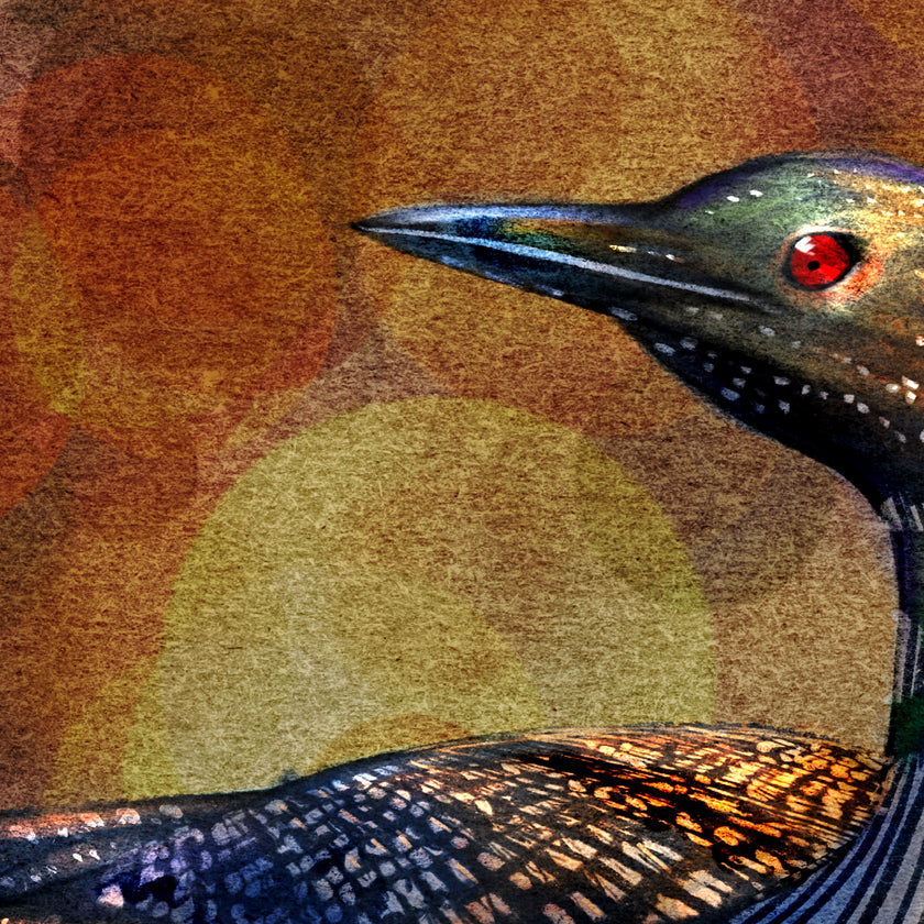 Loon 11x17