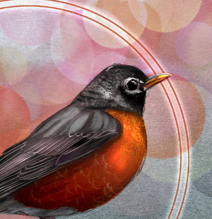 American Robin 11x17