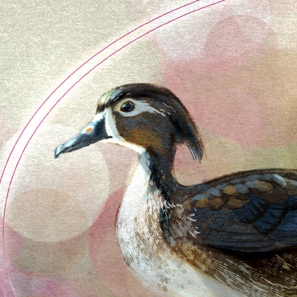 A close-up artistic illustration of a duck in profile, with detailed brown, white, and blue feathering against a soft beige and pink abstract background.