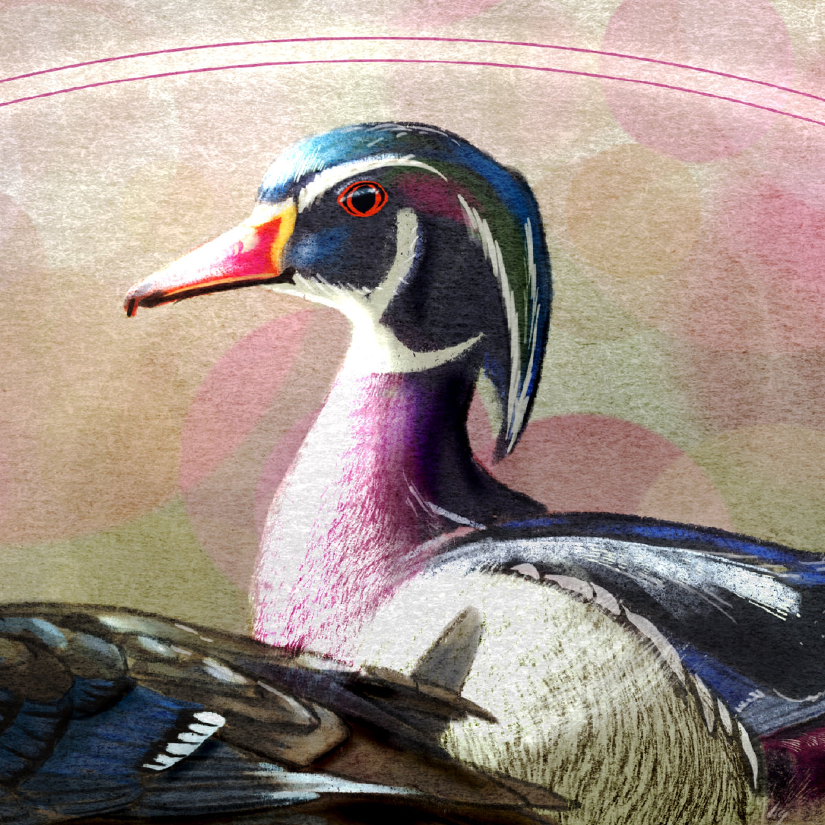 A close-up artistic depiction of a wood duck with iridescent blue, purple, pink, white, and brown feathers against a soft beige and pink textured background.