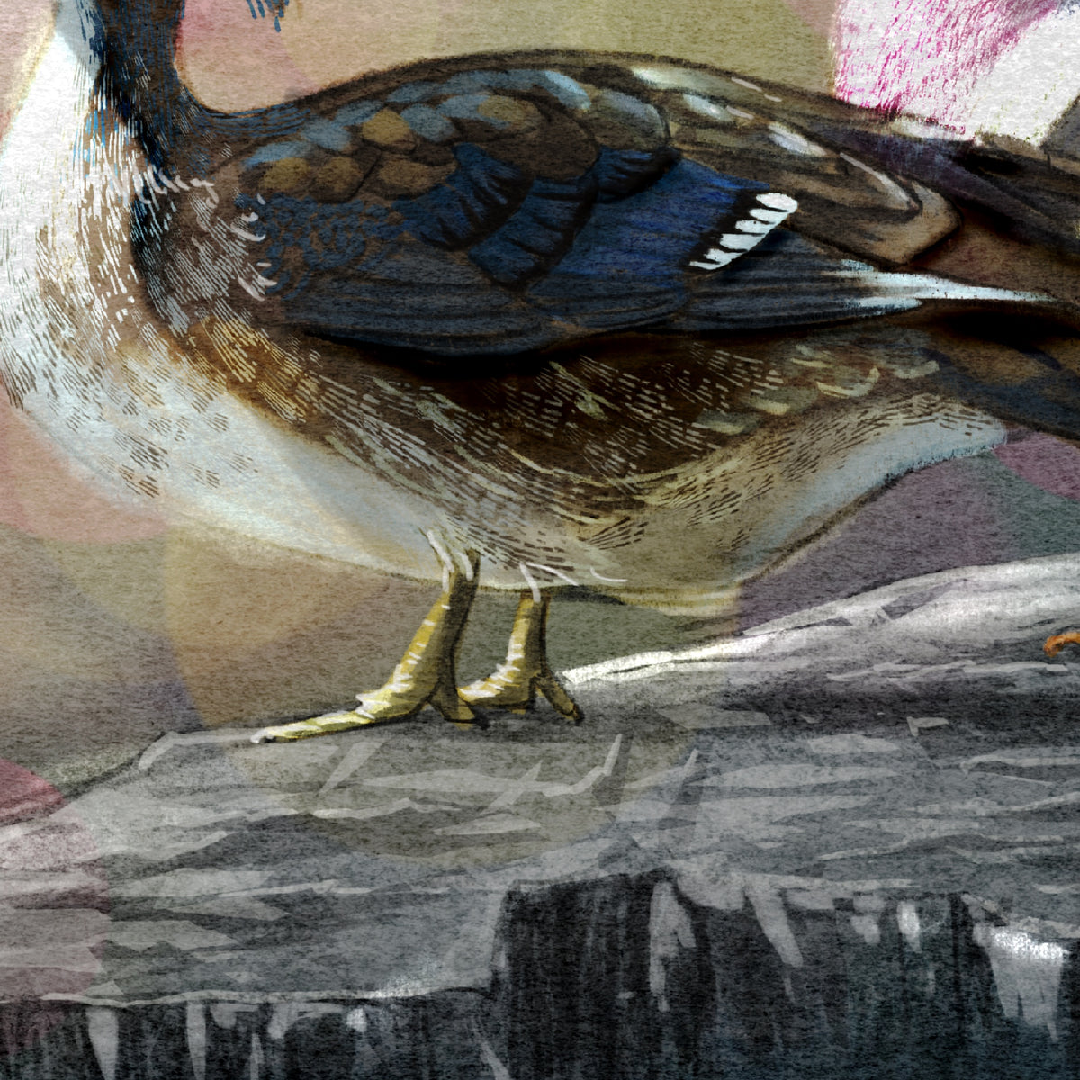 A close-up artistic illustration of a goose or duck-like bird standing on a rocky surface, with layered feathers in brown, gray, cream, black, and muted blue tones.