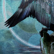 A close-up artistic illustration of a dark bird with spread wings perched on a rock against a textured teal and blue background with circular abstract shapes.