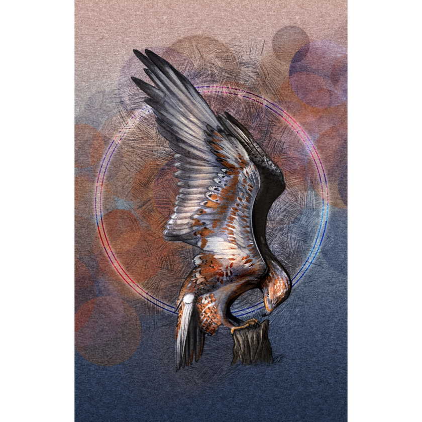 A stylized artwork of a large bird of prey with wings spread, rendered in dark charcoal and warm brown tones against an abstract background with circular bokeh-like shapes in muted pink, blue, and brown.