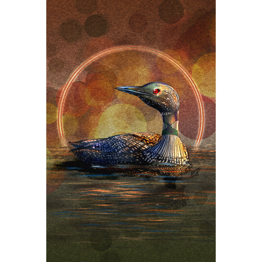 Loon 11x17
