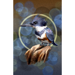 A stylized artwork of a belted kingfisher perched on a stumped branch of wood, with a glowing circular halo behind it and a warm brown, green and blue background. The scene appears to be the product itself rather than a photo of a physical object in a room.